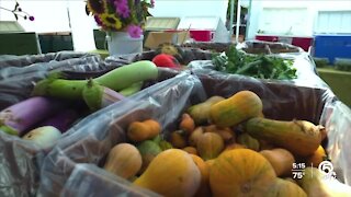 Delray Beach GreenMarket to accept SNAP benefits