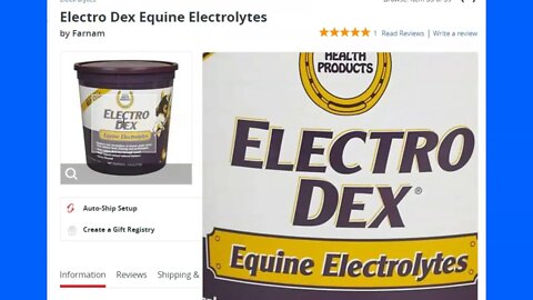 Electrolytes For Horses - A Little Extra Needed When Stressed By Work, Heat or Sweat - Electro Dex