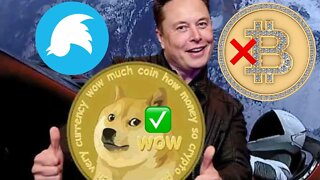 Elon Musk Dogecoin OVER Bitcoin - MEDIA LYING! (Final Stand Show)