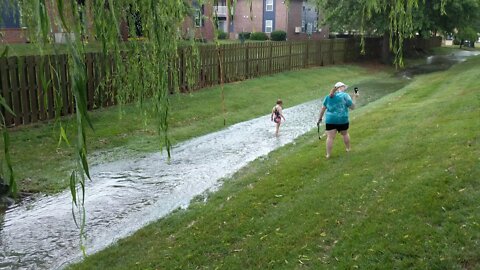 Flash thunderstorm on July 4 2020 Cassie having fun!