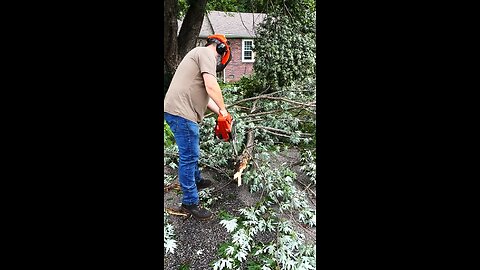 Chainsaw So Good You Need To Watch - Husqvarna 545