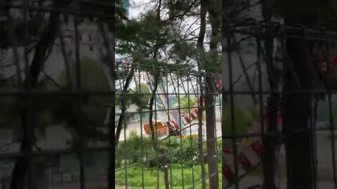 어린이공원 바이킹