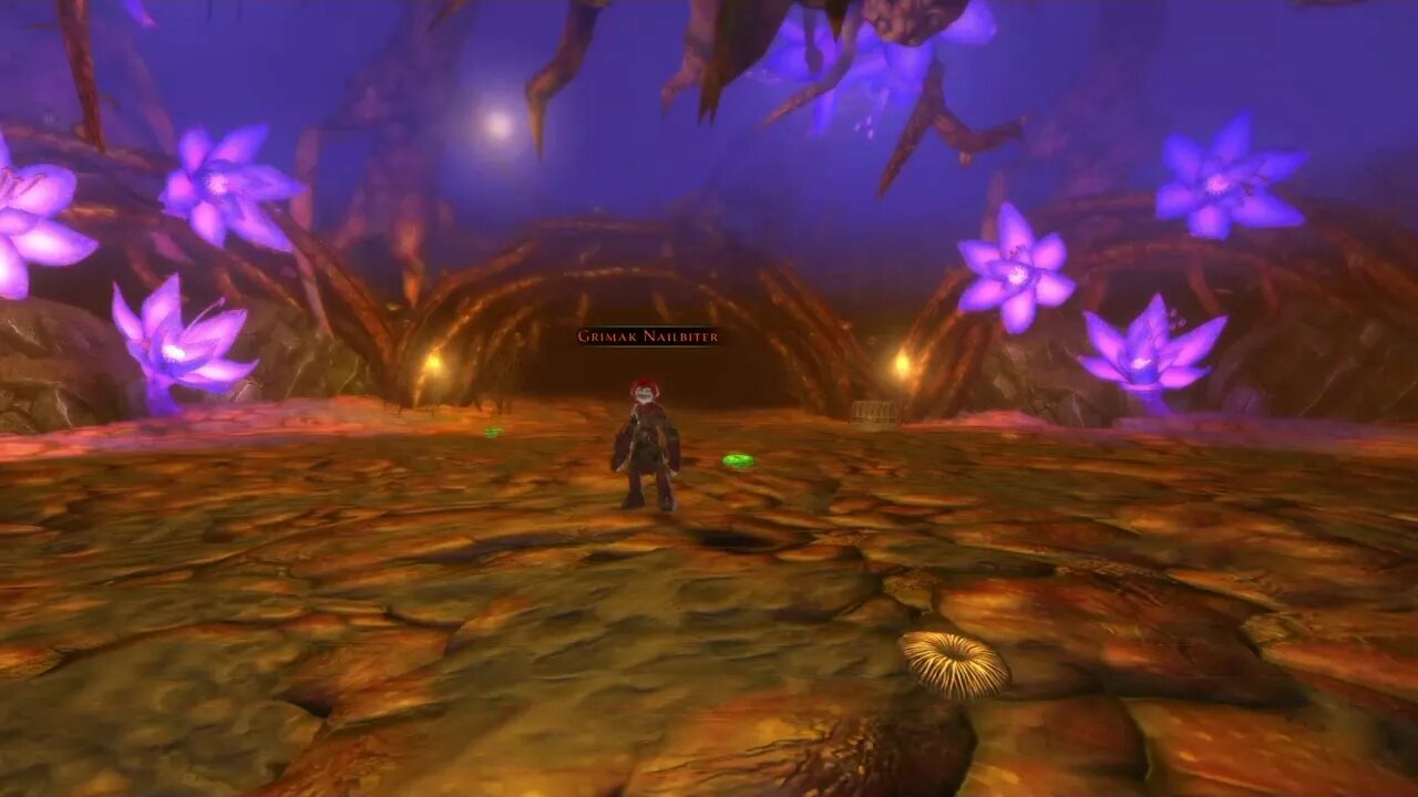 Story boss & dungeon's Neverwinter part 9