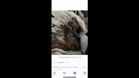 ❤️❤️❤️❤️❤️❤️❤️❤️