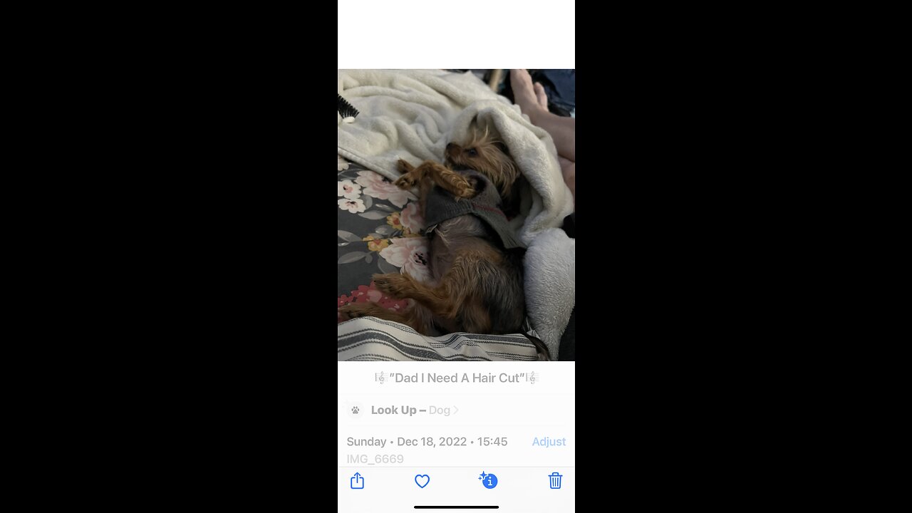 ❤️❤️❤️❤️❤️❤️❤️❤️