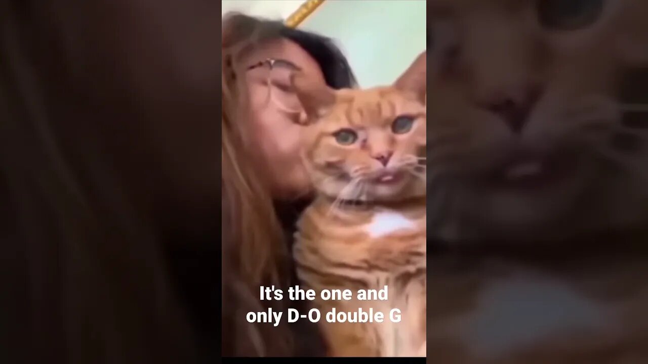 MEME is the one and only D-O double G #shorts