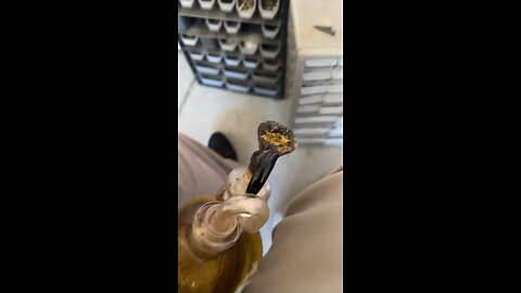 Day 55 The wax never fully melts lol