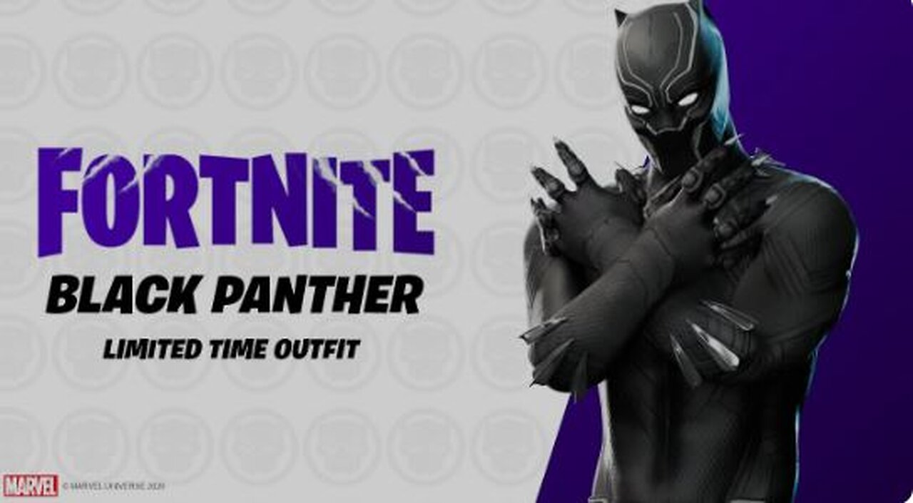 BLACK PANTHER (Marvel Series)-Fortnite