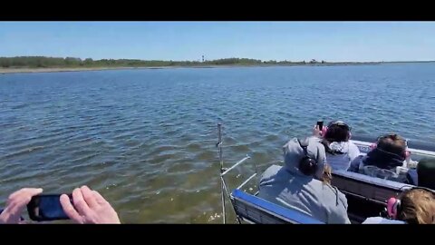 Outer Banks Adventures near Bodie Island Lighthouse