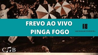 Frevo Ao Vivo - Pinga Fogo