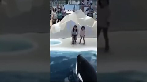 यह दिल चीज है क्या