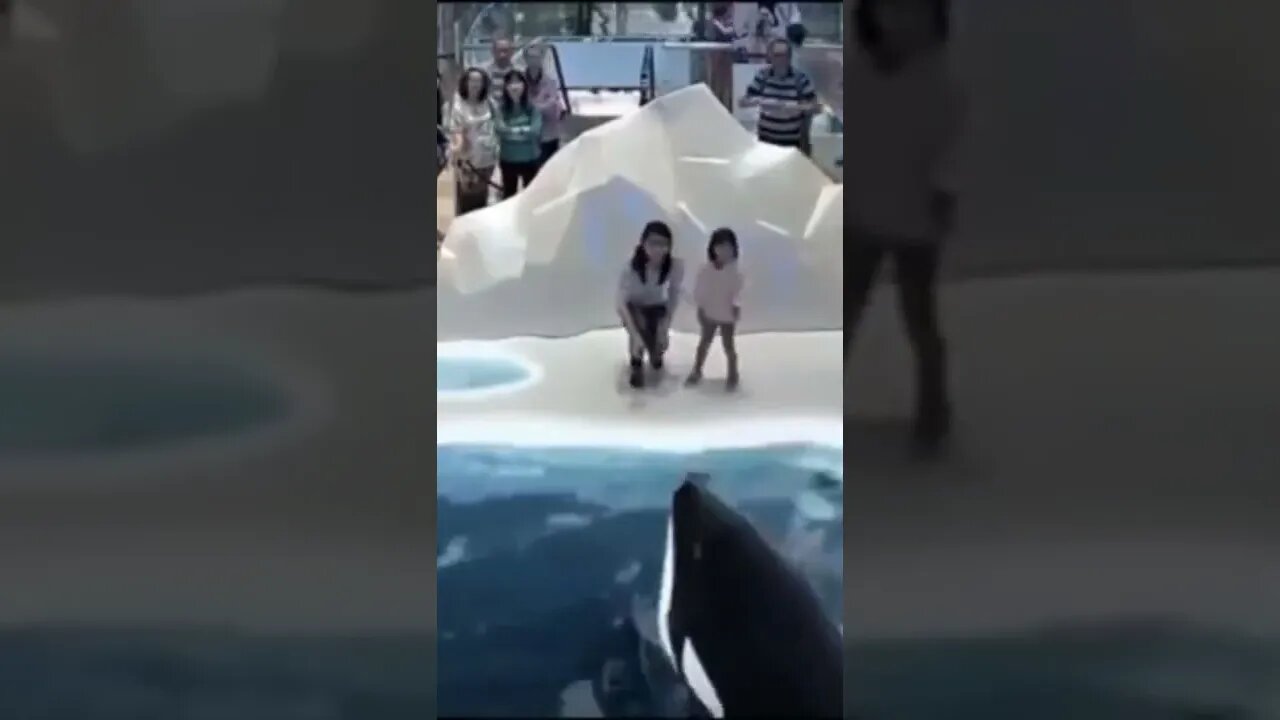 यह दिल चीज है क्या