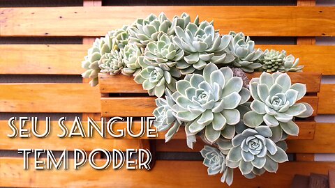 🙏🏻Jardim de Louvor 4 -(Seu sangue tem poder)🙏