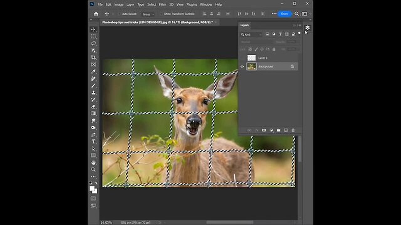 Photoshop Tips