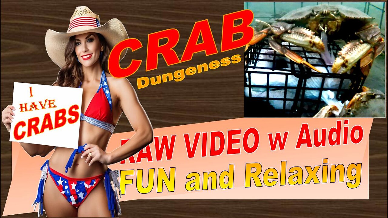 LovingKindWarm Crab Video Underwater Crab Pot Fish Boat ASMR Visual/Audio Fun Sept 2d 2024b Raw