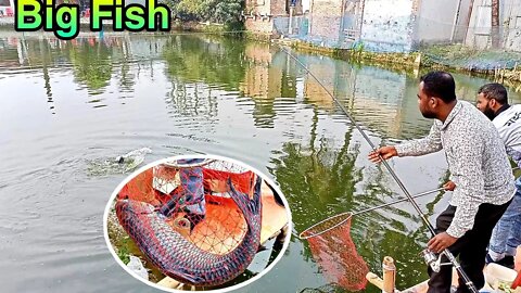 দক্ষ শিকারির বড় মাছ শিকার/Giant hook fishing