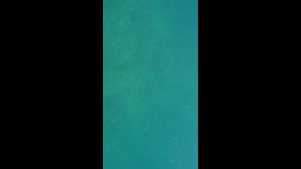 Diving Oahu