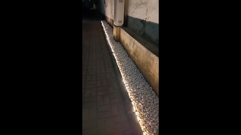 Backyard lights