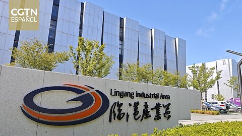 Área Especial de Lingang de la Zona Franca Piloto de China celebra su 5º aniversario