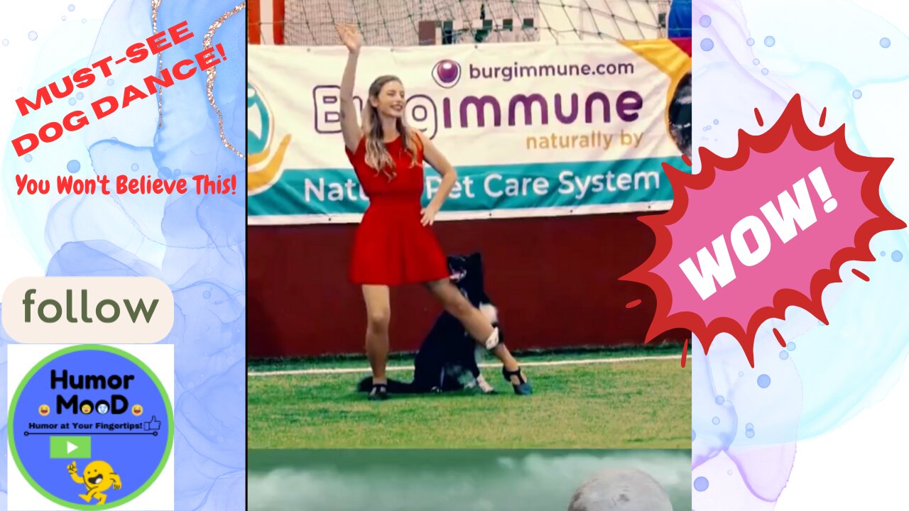 Dancing Dog Steals the Show with Amazing Moves! Must-Watch Amazing Dog Video