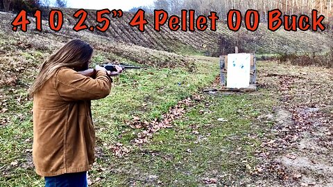 Range Test - .410 4 Pellet 00 Buck Handloads 2.5”
