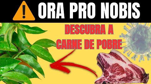 O que é Ora Pro nobis? Ora Pro Nobis Benefícios, Conheça a Verdadeira Carne de Pobre!
