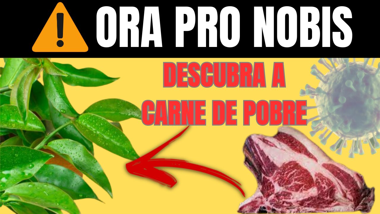 O que é Ora Pro nobis? Ora Pro Nobis Benefícios, Conheça a Verdadeira Carne de Pobre!