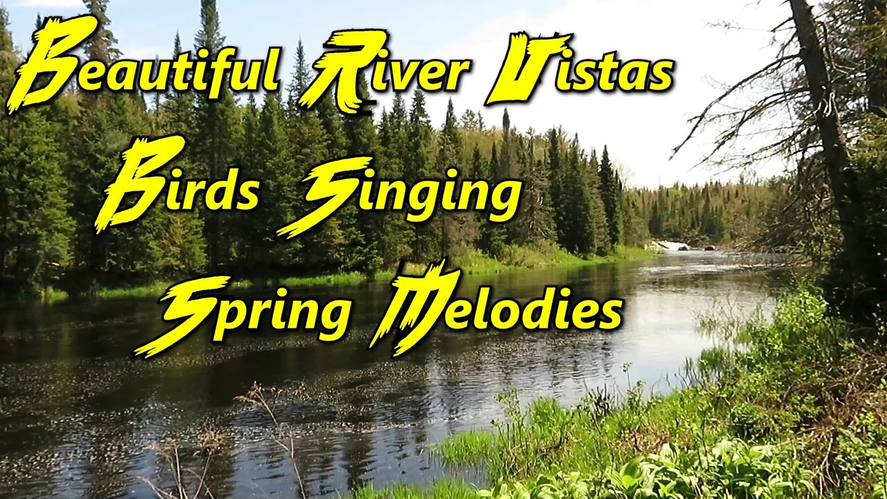 Beautiful River Vistas with Multiple Birds Singing their Spring Melodies