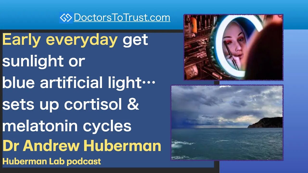 ANDREW HUBERMAN 4 | Early daily get sunlight or blue artificial light…sets cortisol/melatonin cycles