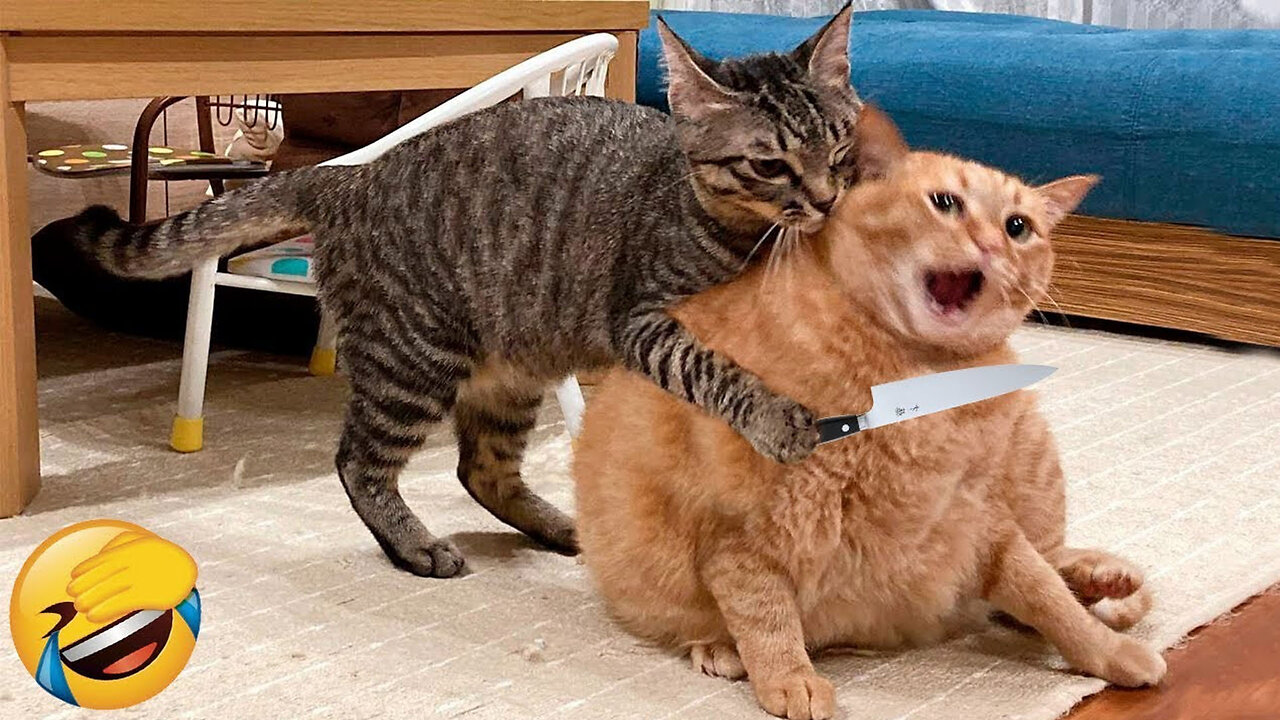 Funny Animal Videos 2023 - Cuttiest Animal Videos
