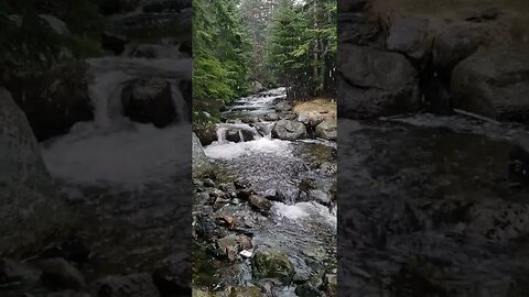 Serene River Symphony 🌿🌊 - #Shorts #YouTubeShorts #NatureSounds