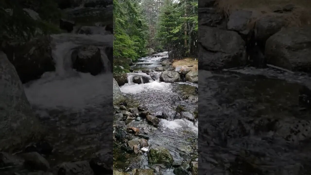 Serene River Symphony πΏπ - #Shorts #YouTubeShorts #NatureSounds