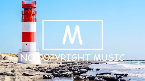 Dyalla - The Fear（Mm No Copyright Music）
