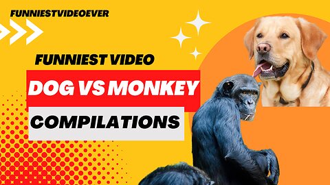Dog vs Monkey, Compilation Best Ever, 2023.
