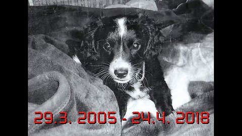 a Tribute to Maxík {EN}
