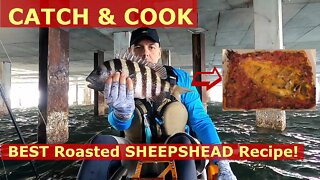 *BEST* SHEEPSHEAD Catch and Cook - Roasted with Spanish Sauce