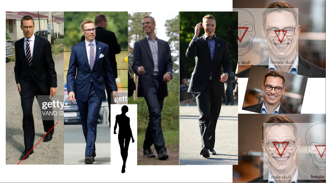 transagenda: Alexander Stubb Kok.