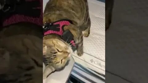 Time for clean sheets