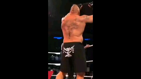 Roman Reigns and Brock Lesnar fight