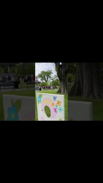 Big event at the park