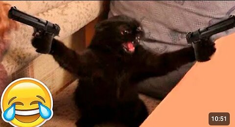 Fanny animal video