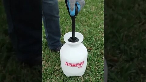 How to solve every gardener's most annoying problem! #shorts
