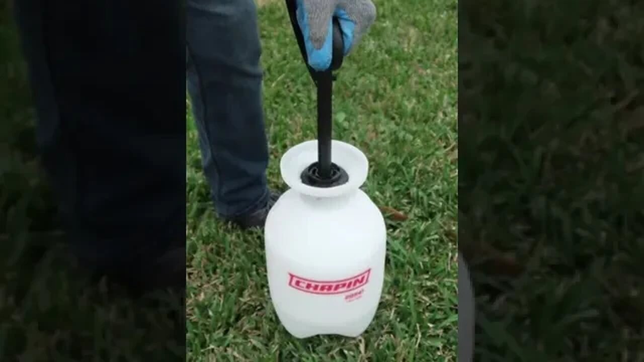 How to solve every gardener's most annoying problem! #shorts