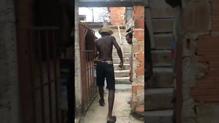 PITBULL TA NA PISTA [ MEMES 2021 ] [ ENGRACADO ] O PITBULL TRABALHANDO NA OBRA [ VIRAL 2021 ]777