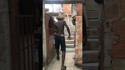 PITBULL TA NA PISTA [ MEMES 2021 ] [ ENGRACADO ] O PITBULL TRABALHANDO NA OBRA [ VIRAL 2021 ]777