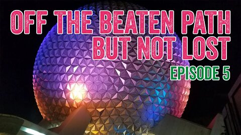 5. All about Animal Kingdom, Epcot, and Hollywood Studios