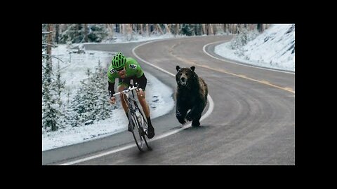 Funny Moments Of The Year Compilation 😆🔥🐷 PART 6