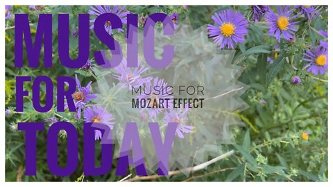 Piano Concerto no. 20 in D minor, K. 466 - Romance |Mozart Effect, Concentration & Brain Power Music