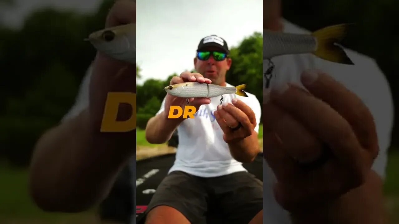 BIG Glide Baits Catch BIG BASS