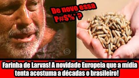 Farinha de Larvas! A novidade Europeia que a mídia tenta acostuma a décadas o brasileiro